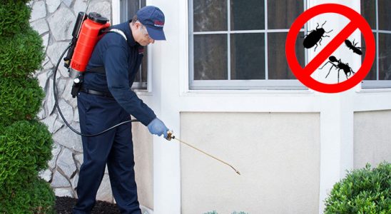 Hekimhan Gümüşkurt İlaçlama böcek ilaçlama ve haşere kontrolü — ilaclama-tr.com